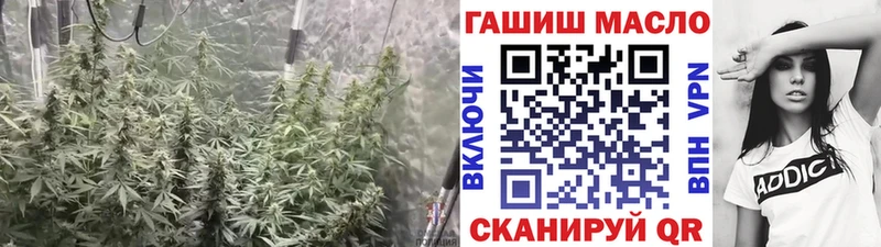 Дистиллят ТГК Wax  Наволоки 